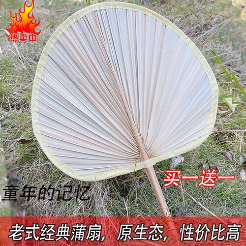手工蒲草芭蕉扇济公扇老人扇