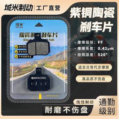 极核AE5刹车片 AE5i AE5iPro 电自 电轻摩 升级前后轮碟刹皮配件