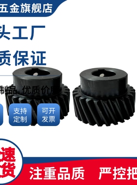 斜齿轮VNX02/VNX12/VNX13/VNX04/VNX03-2.0-20/21/22-B24-P10/12N