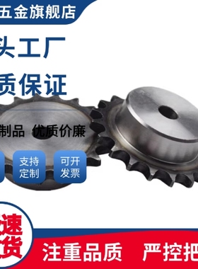 BSP60/SP60B25/26-N20/22/24/25/28/30/32/35/38/40/42链轮