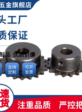 BSP60/SP60B25/26-N-20/22/24/25/28/30/35链轮