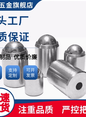 PFPSN10/PFSSN12/C-PFSSR3/4/5/6/8球头柱塞