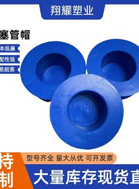 管桩堵头钢管内塞管帽蓝色塑料盖PE管塞嵌入式电力管堵防尘保护盖