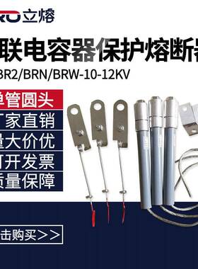 BRW-BRN-BR2-7.2-12KV/10A20A32A40A50A高压并联熔断器电容保护器