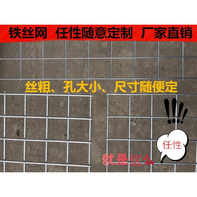 定制铁丝网网片金属丝网围栏包塑料镀锌方格网养殖网建筑网银白色