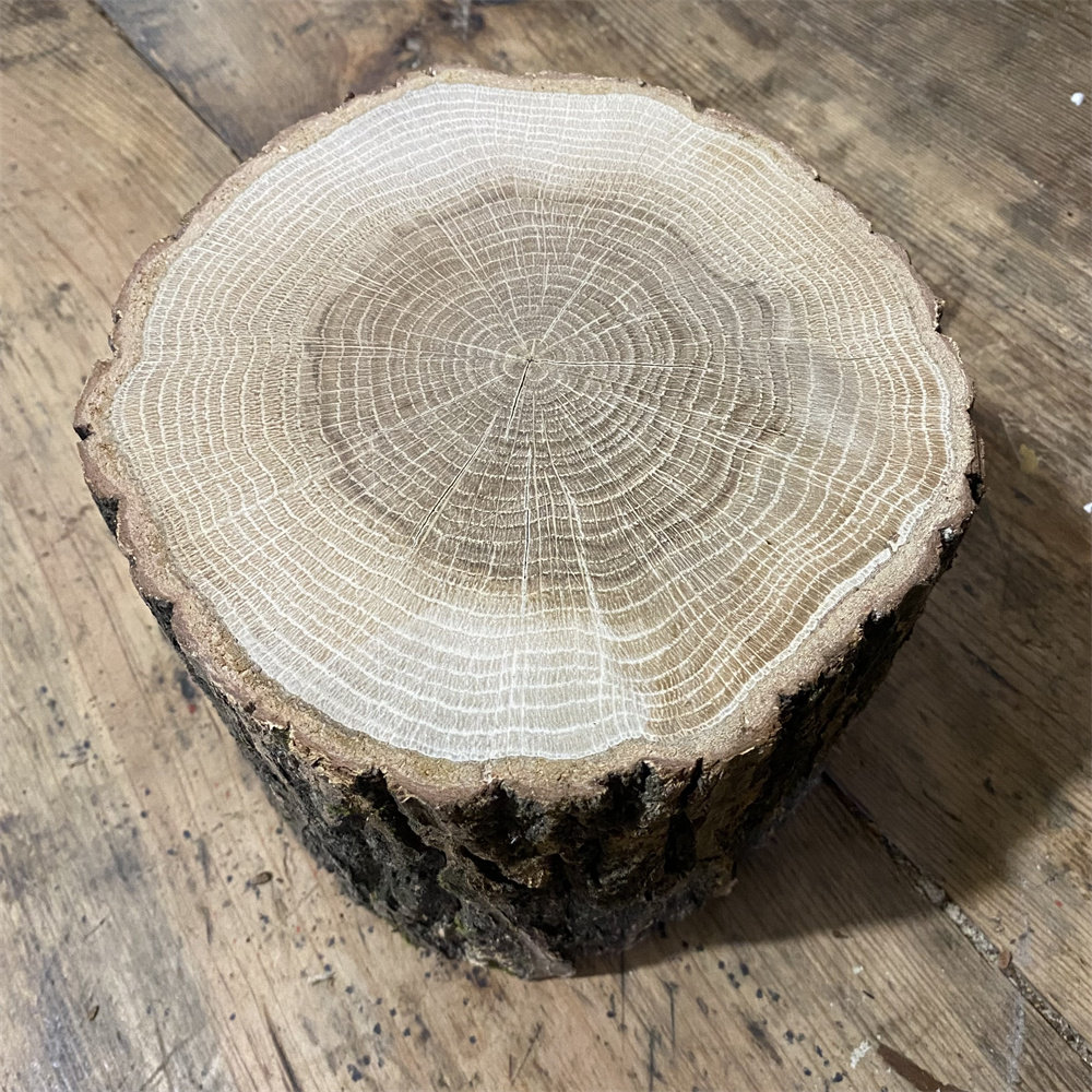 带皮实木原木木桩树墩天然田园家用休闲诧寂风坐凳服装店才茶几凳,家居饰品,户外/庭院摆件,淘宝优惠券,粉丝福利购,淘宝优惠卷