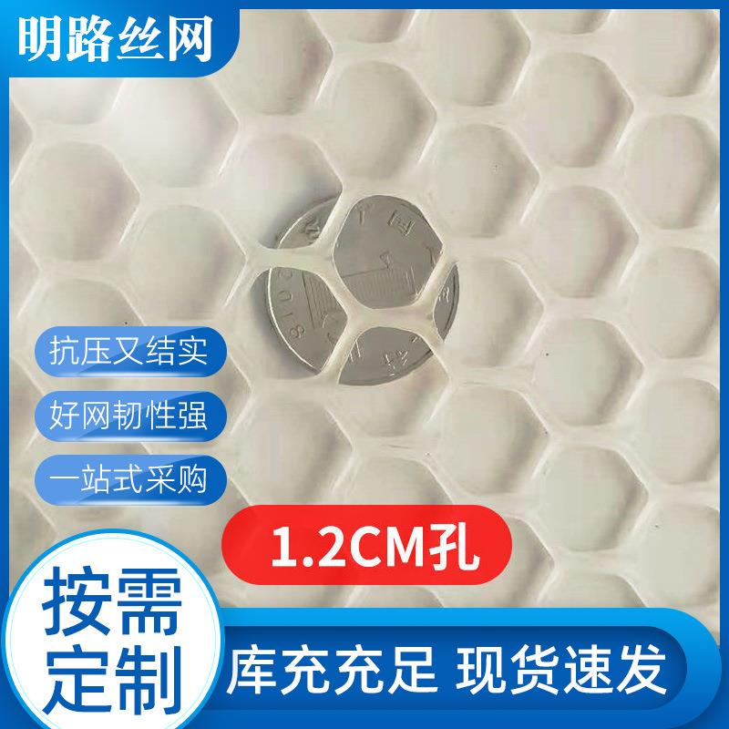 鱼塘育雏漏粪脚垫网 养鸡鸭垫底防护塑料养殖网 PE塑料平网