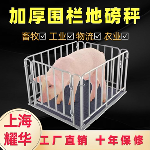 上海耀华地磅秤加厚3吨大容量秤带围栏防滑设计猪羊牛多用