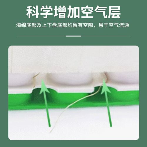 育苗盆家庭水培种植多功能水培V育苗盘沥水盘