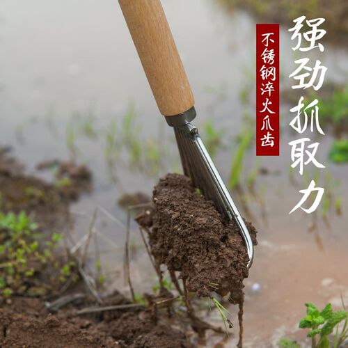 德国赶海耙子不锈钢挖蛤蜊螺花蛤专E用工具沙滩成人专业装备儿童