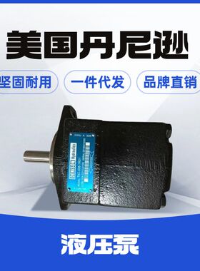 美国DENISON丹尼逊叶片泵T6DM B20 3R02 C1M0 T6EM-052-1R03-B1