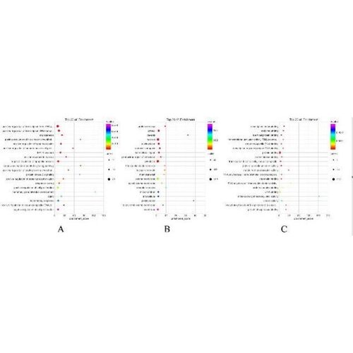 网络药理学专业代做 cytoscape作图 GO/KEGG富集 PPI网络