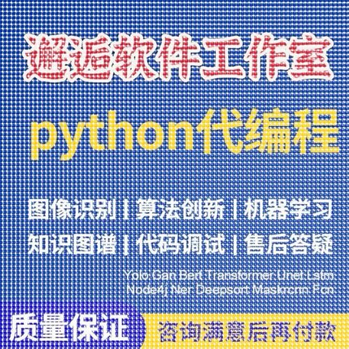 Python代编程强化深度机器学习图像识别知识图谱算法创新调试代码