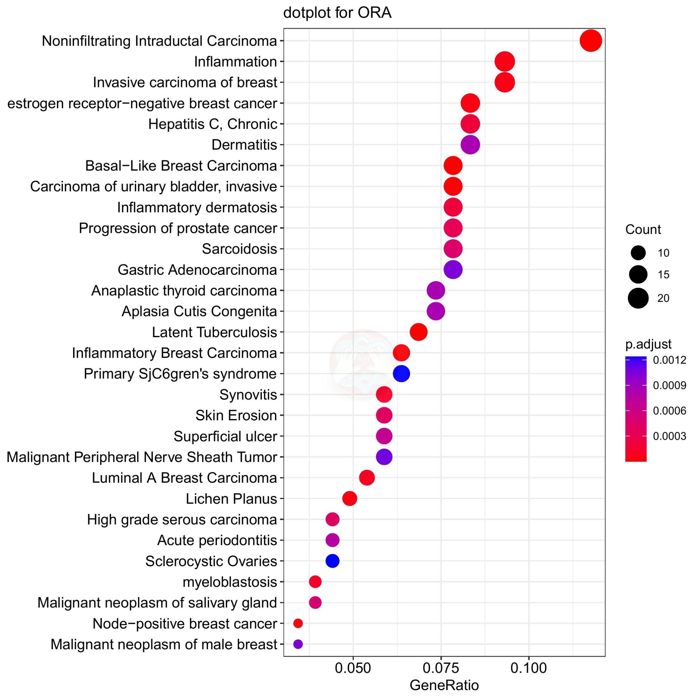 GO/KEGG通路 GSEA基因功能富集分析 R语言作图数据可视化生信分析
