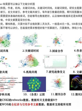 vosviewer代画图数据分析VOSviewer文献可视化VOSviewer作图