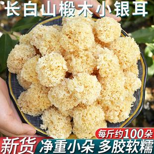 长白山椴木小银耳干货糯耳非特级野生白木耳出胶小朵雪耳丑耳东北