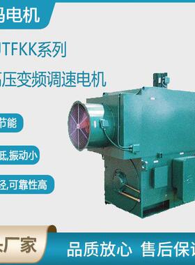 西安西玛电机YJTF4504-10极355KW低压大功率变频三相异步电动机厂
