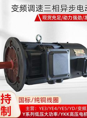 衡水电机厂家定制生产 YVFE2-6极15kw变频调速三相异步电动机