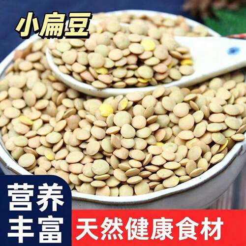 小扁豆金豌豆低脂健身五谷杂粮甘肃绿扁豆Lentils发豆芽旗舰店