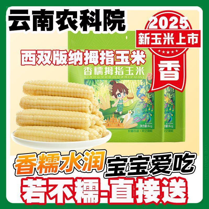 云南拇指玉米无糖低脂即食早餐代餐新鲜甜香糯手指小玉米现摘