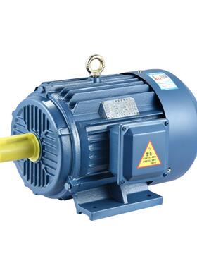 Y2YE3系列2极三相异步电动机380V交流电机纯铜线三相马达国标