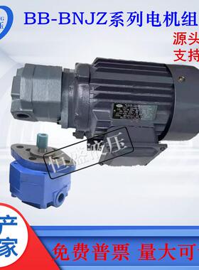 BB-B25NJZ-1B16NB32NB40NB80B100NJZ-1立卧式齿轮油泵电机组