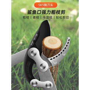 园林修枝剪树枝专用剪刀果树粗枝剪大剪刀园艺修枝修剪树枝剪刀