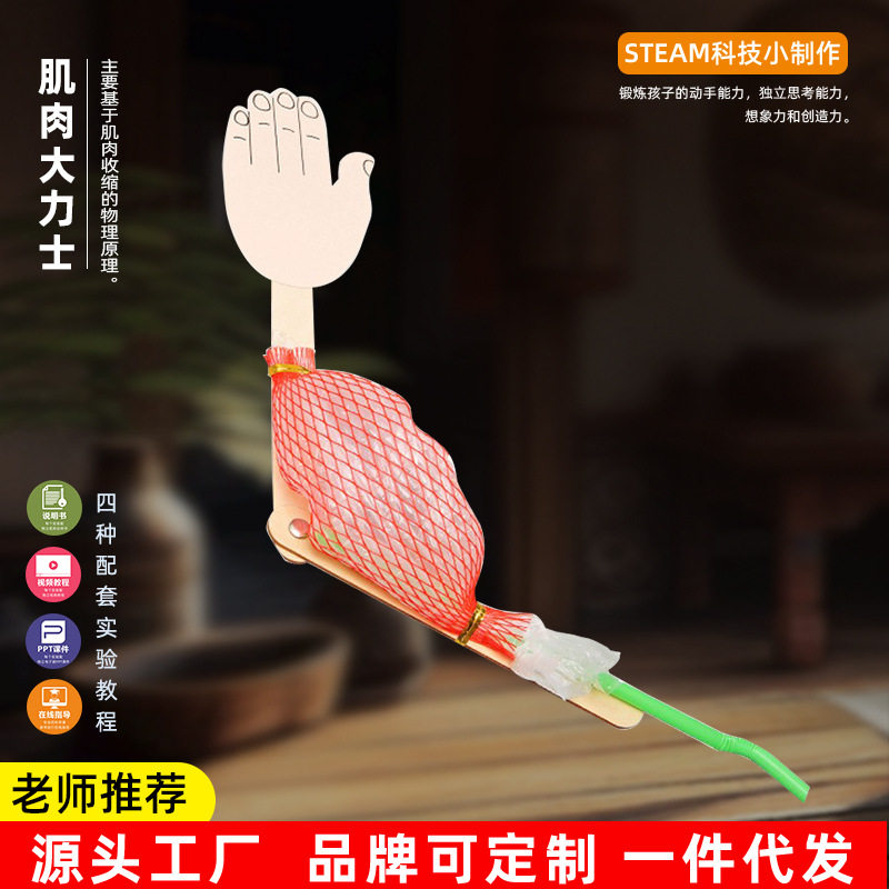 儿童科学实验肌肉大力士steam教育小学物理化学小实验科技小制作