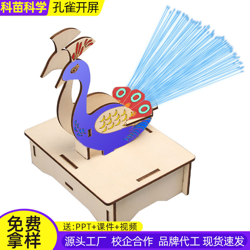 科技小制作DIY光纤灯孔雀开屏科学实验儿童自制学生玩具科教材料图片
