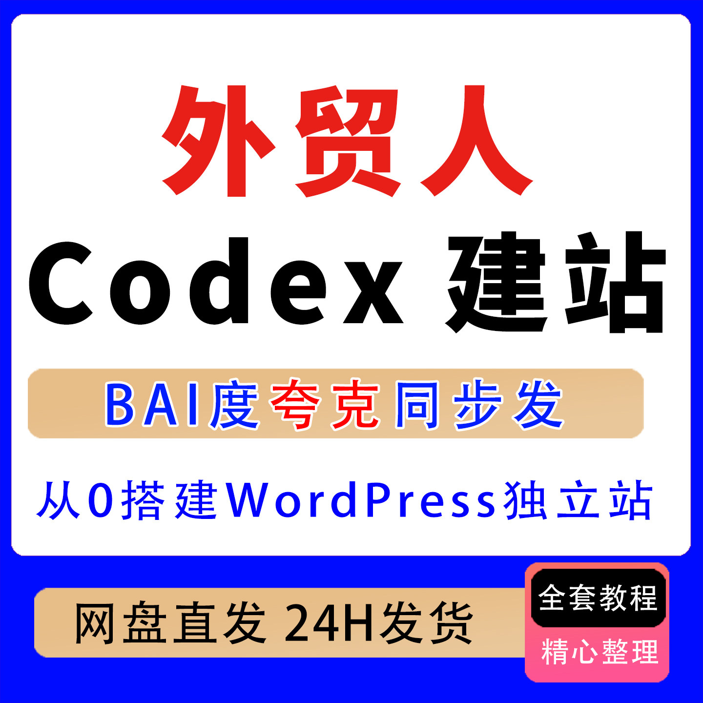 外贸人Codex建站课 从0搭建WordPress独立站图片