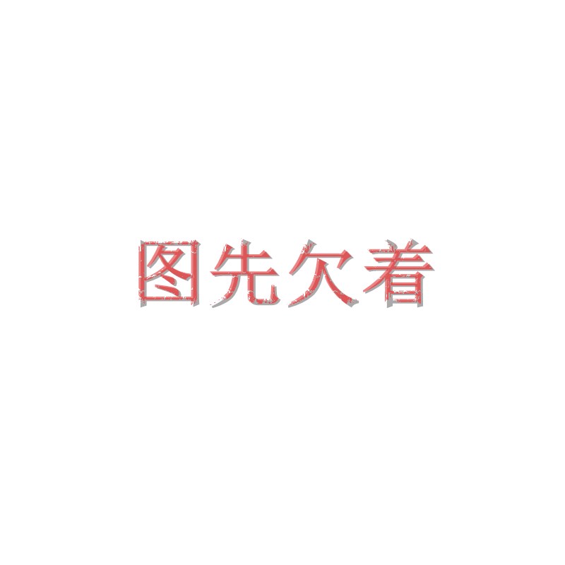 磁偶式无杆气缸CY1S/RMT20*100/200/300/400/500/1500-B带缓冲器