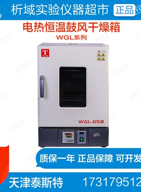 天津泰斯特WGL-30B/65/125/230/B/BE电热鼓风干燥箱WGLL-45B