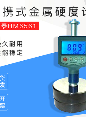兰泰HM6561便携式里氏硬度计金属硬度计 模具钢硬度计 HM6561笔试