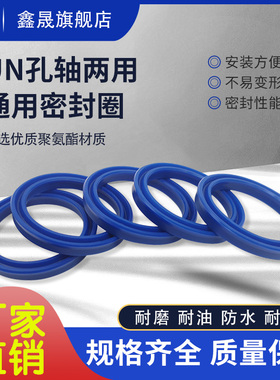 UN 9*16*6/9*19*6/8/10*14*2.5/4/10*15*3/10*16*4液压油缸密封圈