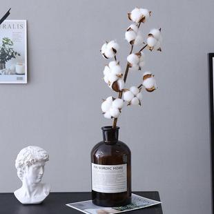 北欧木棉花干花真花天然花束摆件桌面花语装饰摆设花艺用品ins风