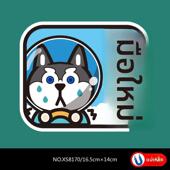 女司机新手实习反光磁贴磁力贴汽车车饰银白色红色绿色卡通动漫