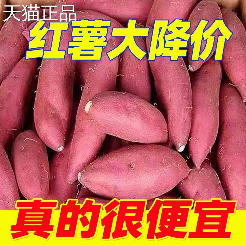 5斤特】现挖新鲜沙地红薯薯黄心板粟烤地瓜价番农家自种蜜薯整箱