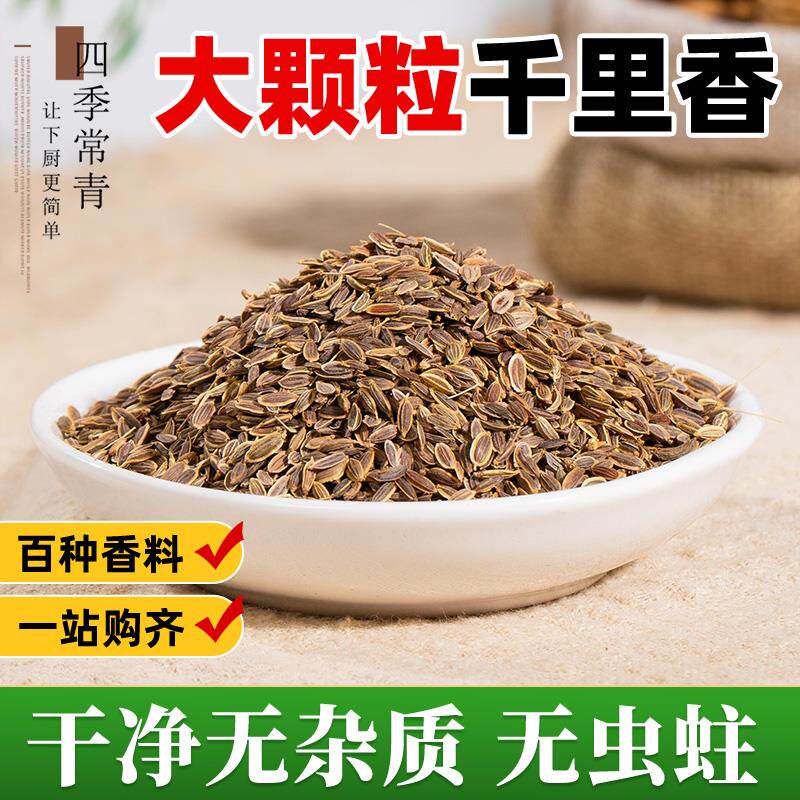 新日期千里香香料50g家用
