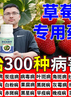草莓专用药白粉灰霉炭疽根腐病菌立清辣椒黄瓜葡萄水果蔬菜杀菌剂