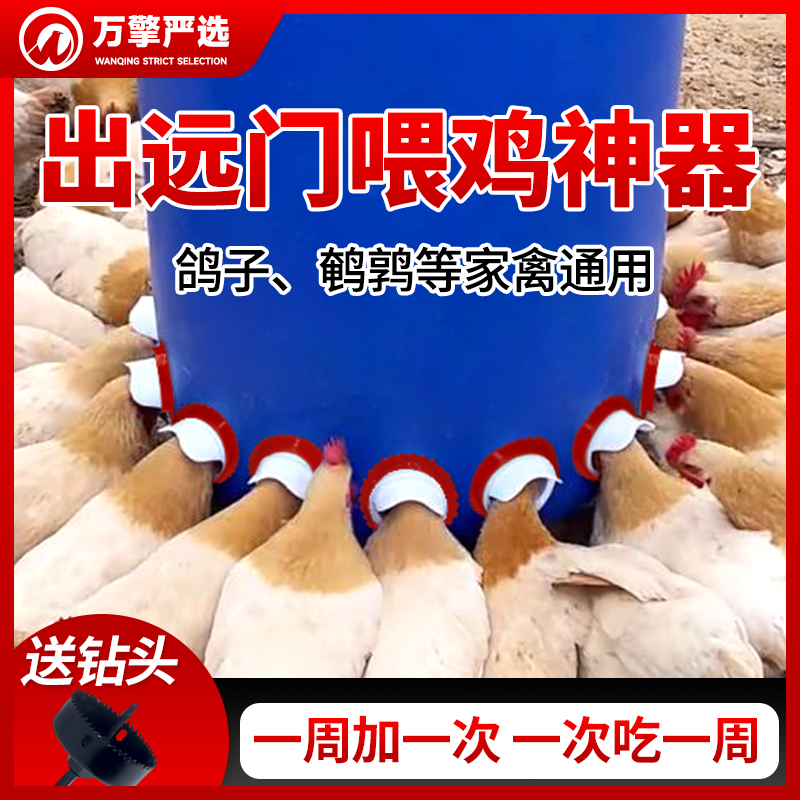 鸡鸭鹅自动喂料器防雨防风防老鼠