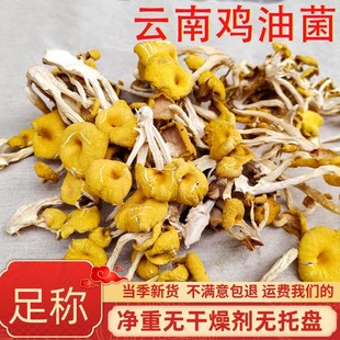 鸡油菌干货云南特产榆黄磨菇食用菌煲汤料山珍送礼香菇菌类新货