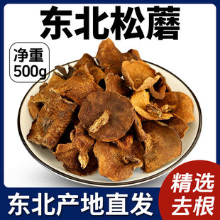 2025新货松蘑东北特产纯野生蘑菇农家自采精选大片粘团子松蛾子