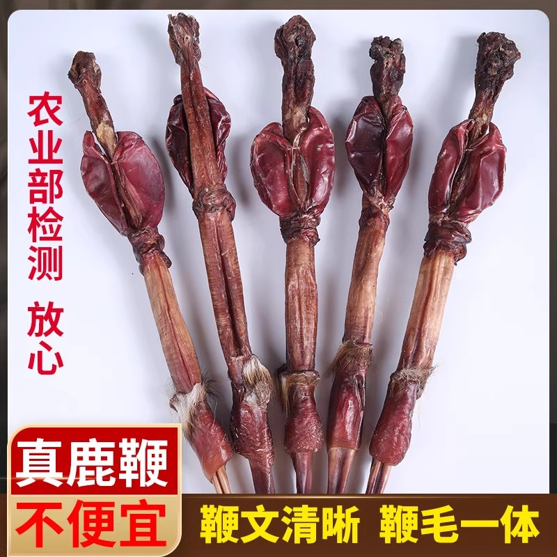 梅花鹿真鹿鞭干整根整枝螺纹清晰鹿鞭泡酒专用滋补东北原产地