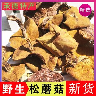 野生松蘑干货 500g 东北  沂蒙山特产粘团子煲汤炖鸡山珍菌菇无硫
