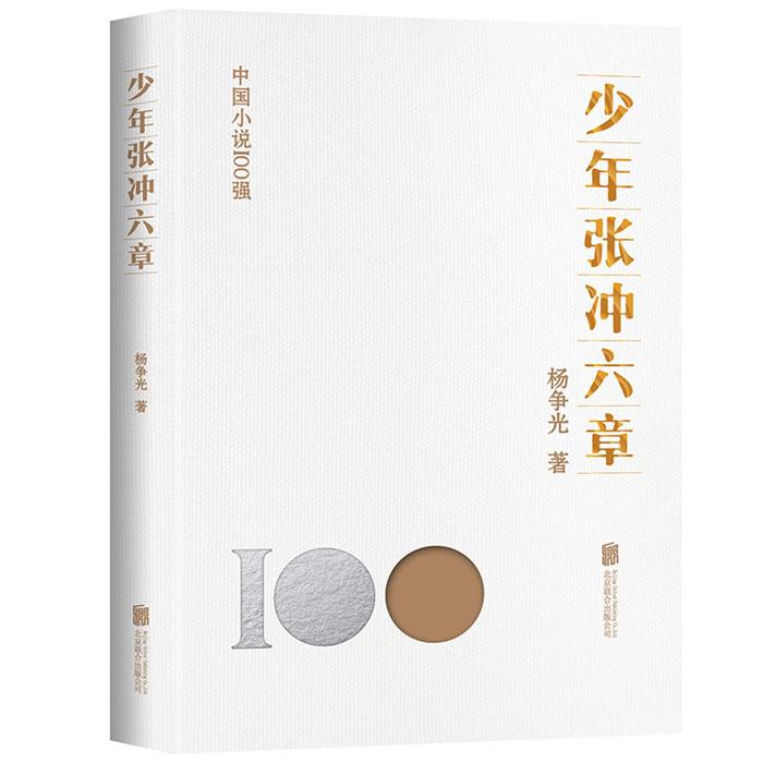 少年张冲六章杨争光北京联合出版公司