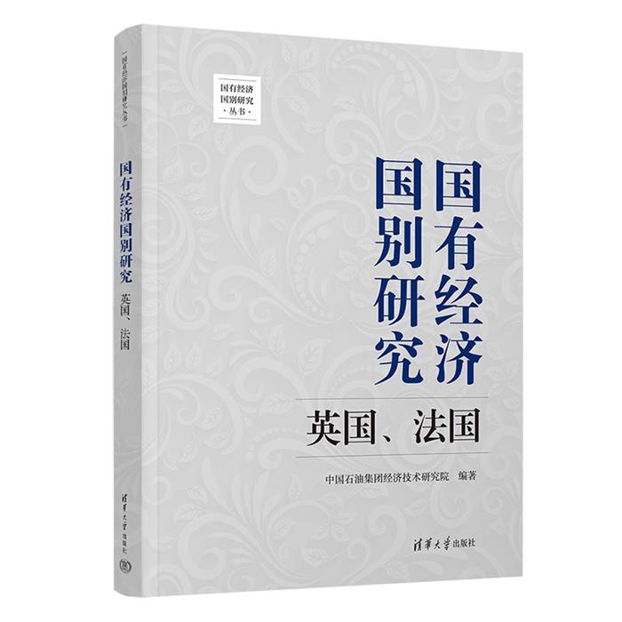 国有经济国别研究中国石油集团经济技术研究院清华大学出版社