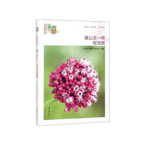 我的青春我的梦:夏:像公主一样被宠爱(51)时代文艺出版社
