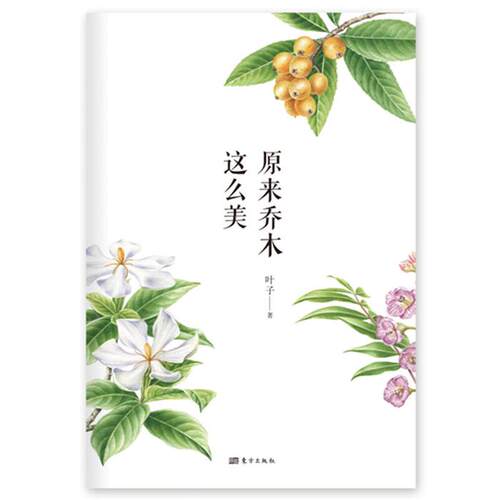 原来乔木这么美叶子东方出版社9787520700214