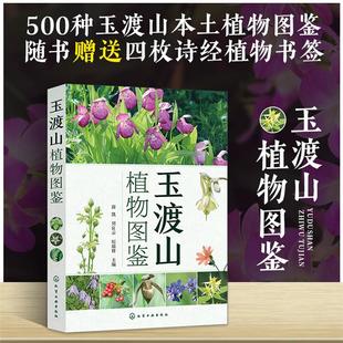 玉渡山植物图鉴薛凯,周良云,纪瑞锋主编化学工业出版社