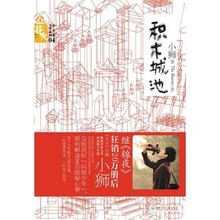 积木城池小狮湖南少年儿童出版社9787535855374